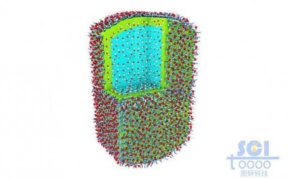 八分之一切口的内嵌小分子药物的高分子聚合体外层分部小分子基团基团