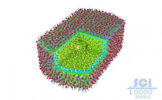 八分之一切口的内嵌小分子药物的高分子聚合体外层分部小分子基团基团