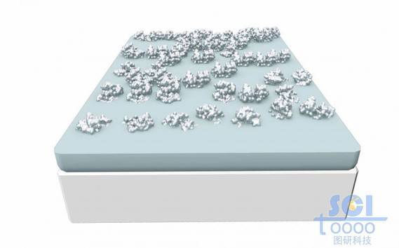 硅/氧化物基底板上生长出高分子团簇的宏观示意