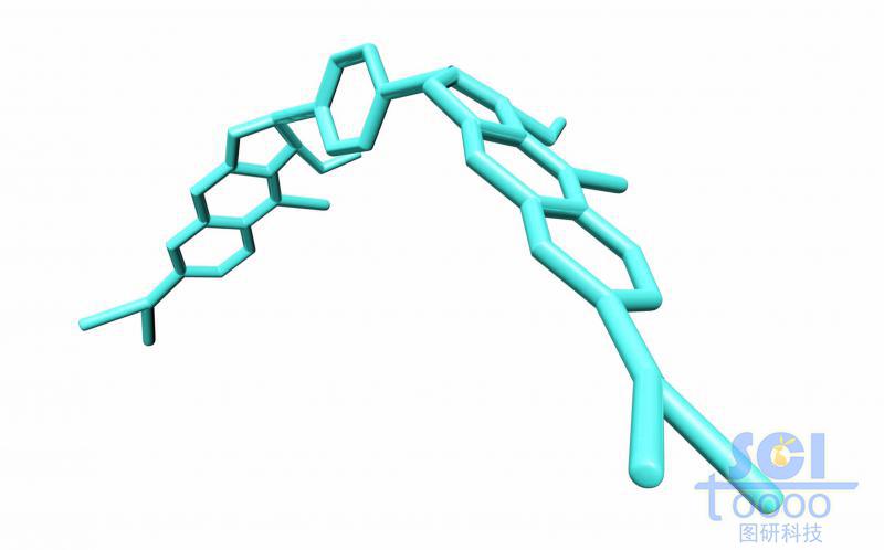 发卡型小分子药物/分子模式图