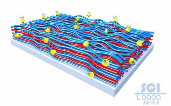 带小分子基团的高分子链段在基底上平行排列成膜结构