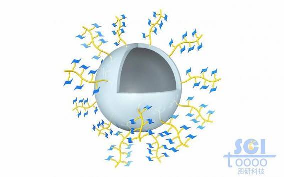 带小分子基团的高分子链段形成的空心球壳