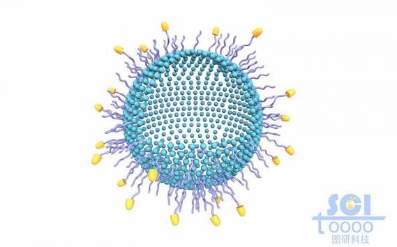 表面带生物受体的空心纳米药物球内含DOX药物