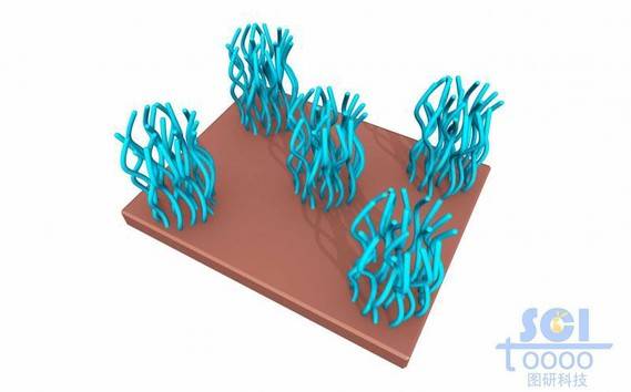 纳米图案化聚合物刷/高分子链段簇