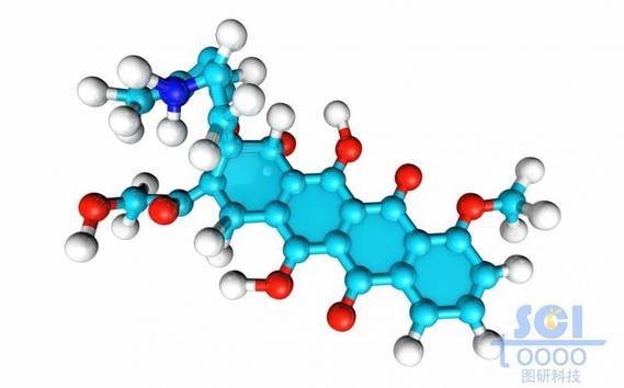 小分子药物/分子模式图/DOX