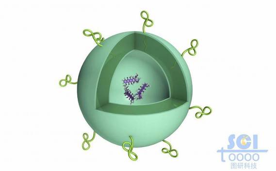 高分子鏈段交聯(lián)形成的空心球殼內(nèi)部含小分子藥物