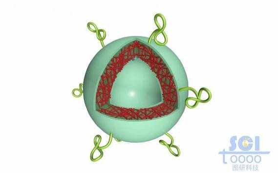 高分子链段交联形成的空心球壳