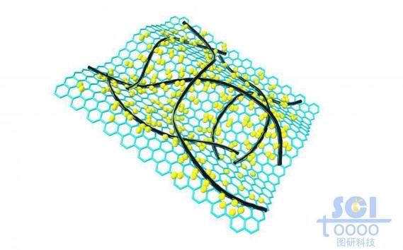 表面附着纳米线/碳纳米管与小分子的石墨烯