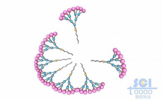 樹枝狀高分子鏈段結構