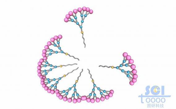 树枝状高分子链段结构