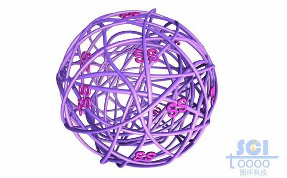 高分子链段缠绕形成的笼架结构表面带硫硫ss双键