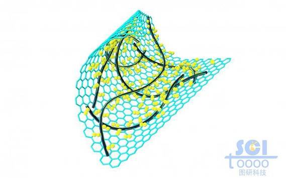 表面附着纳米线/碳纳米管与小分子的石墨烯