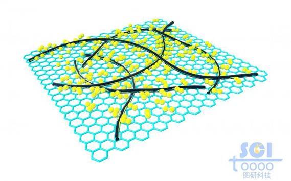表面附着纳米线/碳纳米管与小分子的石墨烯