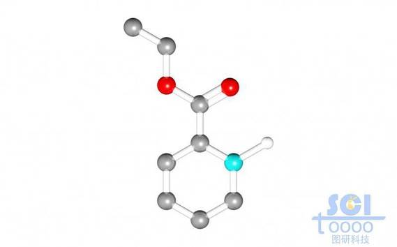分子模式圖