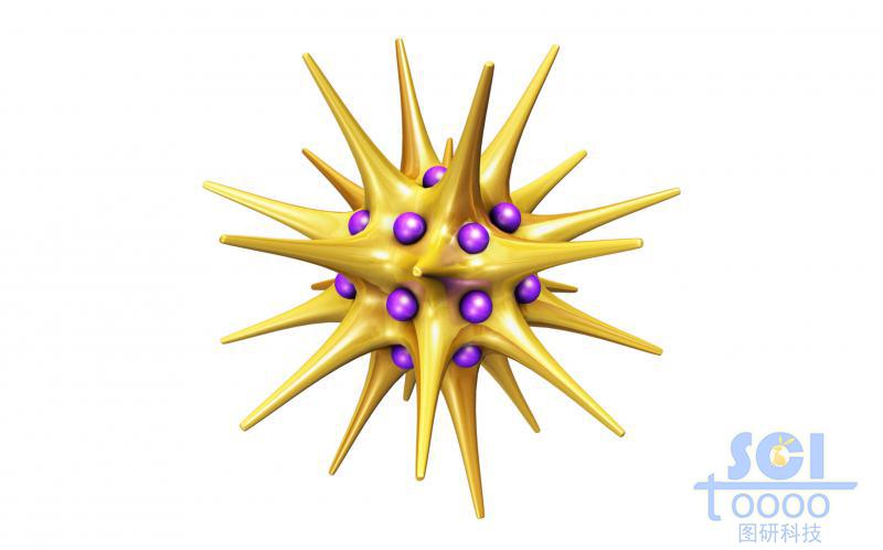 镶嵌小分子基团的金纳米星