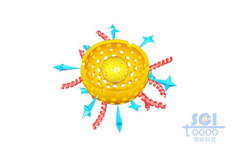 带二分之一切口的双层介孔球/硅球/纳米颗粒DOX外修饰肽链/星形结构分子