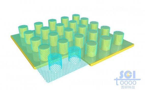 石墨烯包裹的纳米柱阵列