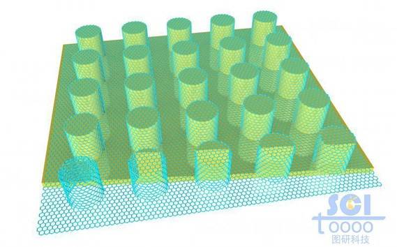石墨烯包裹的纳米柱阵列