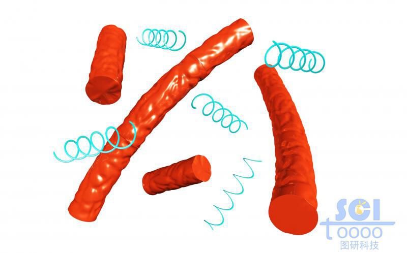 纳米棒与螺旋状高分子链段