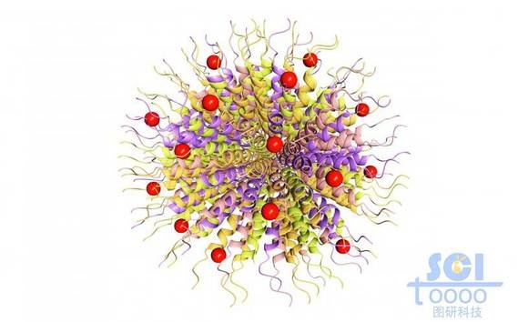 蛋白质堆积形成的纳米球外层镶嵌小分子基团
