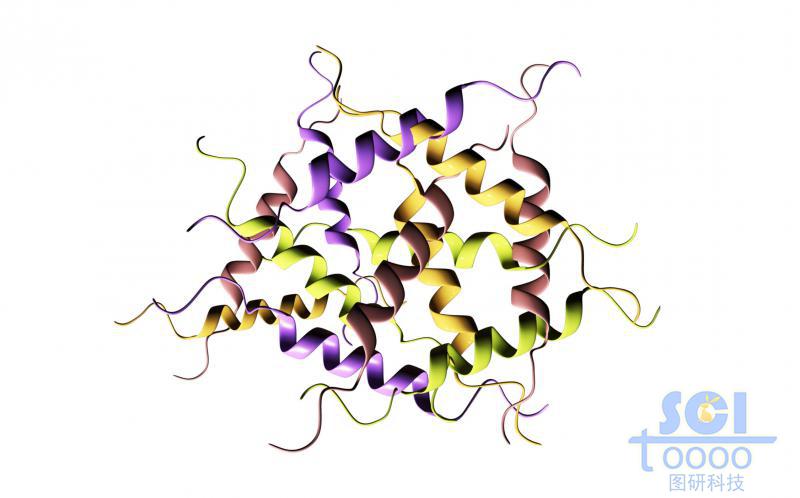蛋白质结构