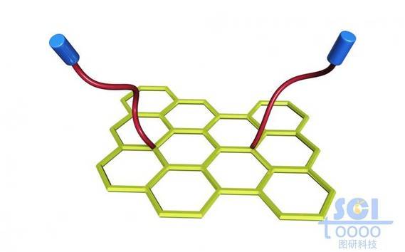 石墨烯与表面分子基团
