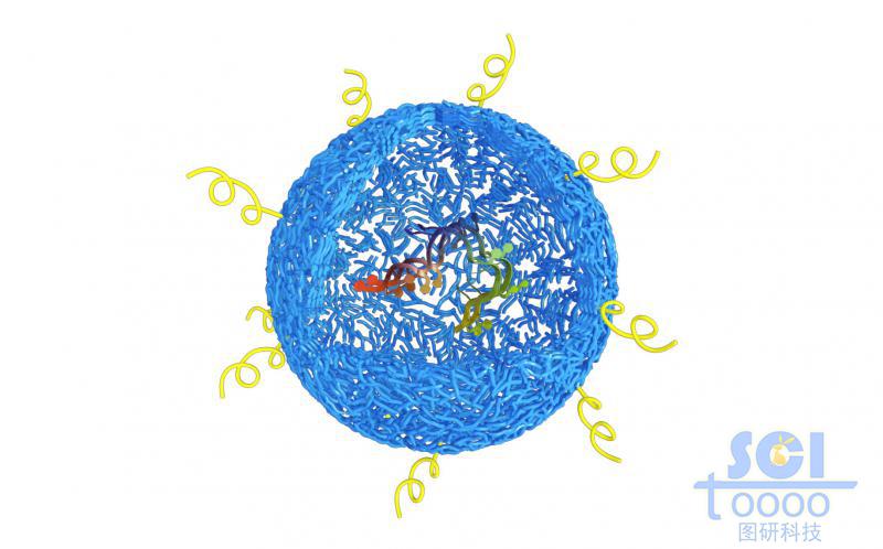 高分子链段交织的网状空心球内包裹单链RNA