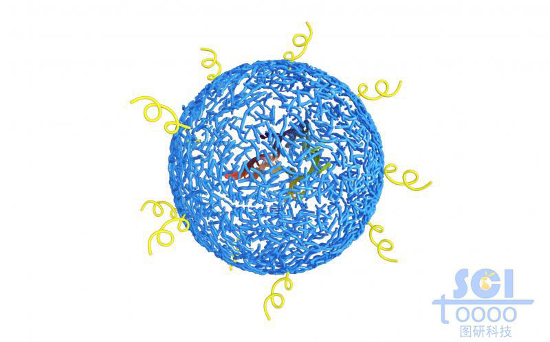 高分子链段交织的网状空心球内包裹单链RNA