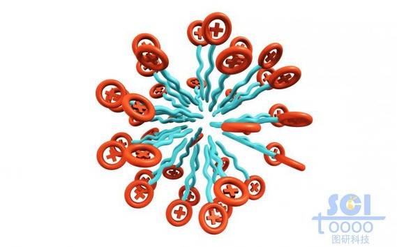 带正+电荷的高分子链放射状团聚成球