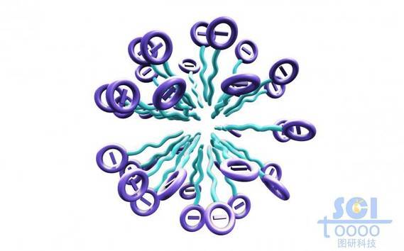 带负电荷的高分子链放射状团聚成球