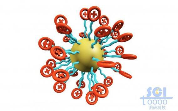 带正+电荷的高分子链围绕油滴放射状团聚成球