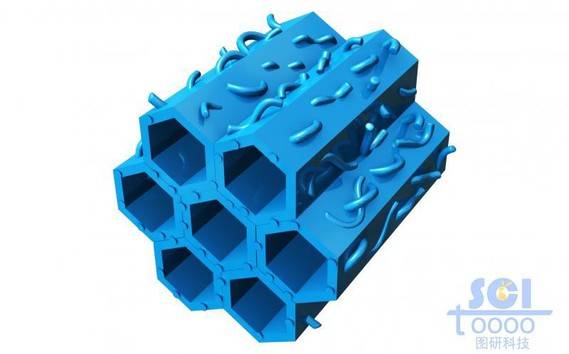 镶嵌高分子链端的六边形中空管道