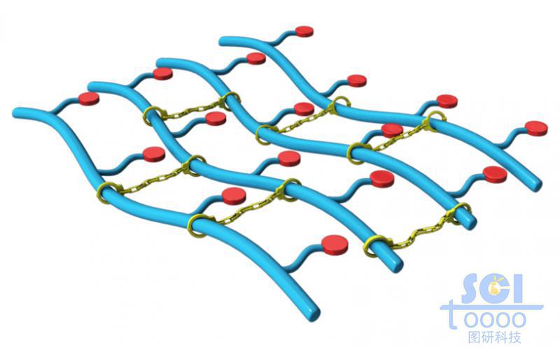 带分支基团的高分子链端形成的网状结构