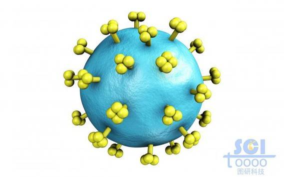 表面带突起的病毒结构