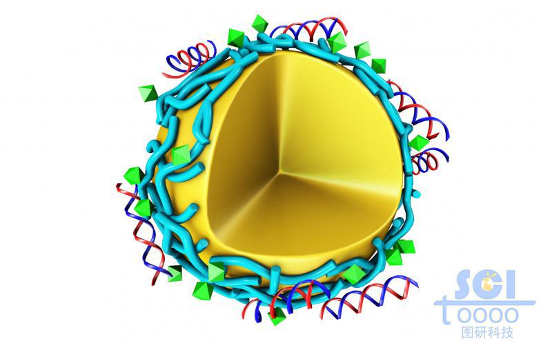 横向交联粘附DNA结构的多聚肽纳米胶束