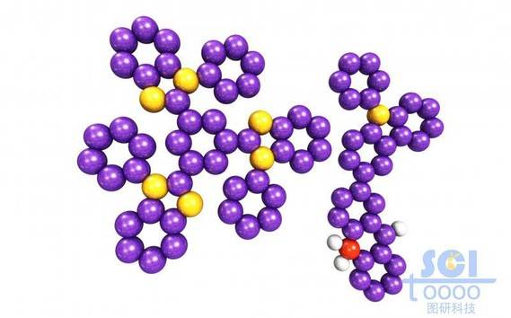 分子模式圖