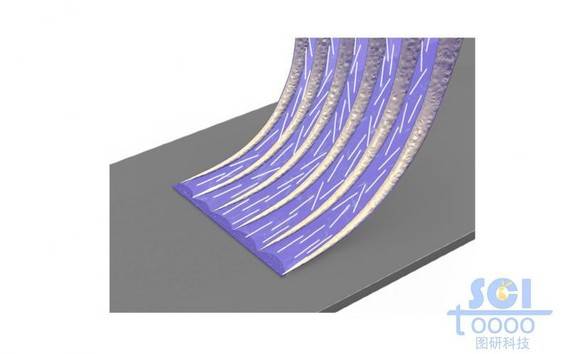 基底板上涂刷高分子材料