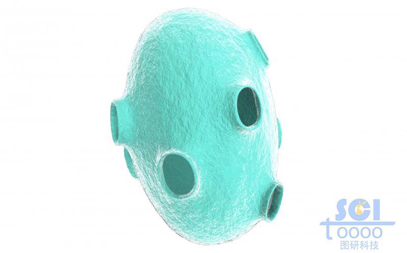 椭圆形介孔纳米球壳