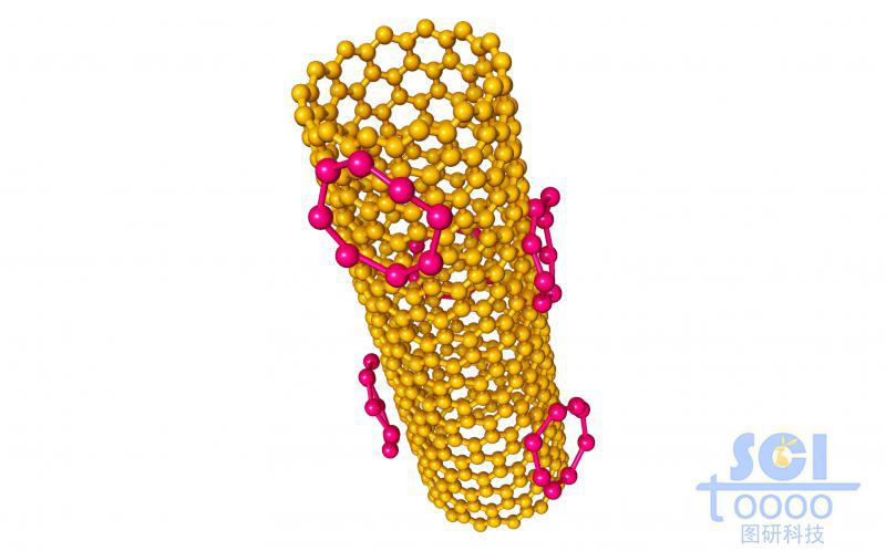 碳纳米管管壁附着环状分子结构