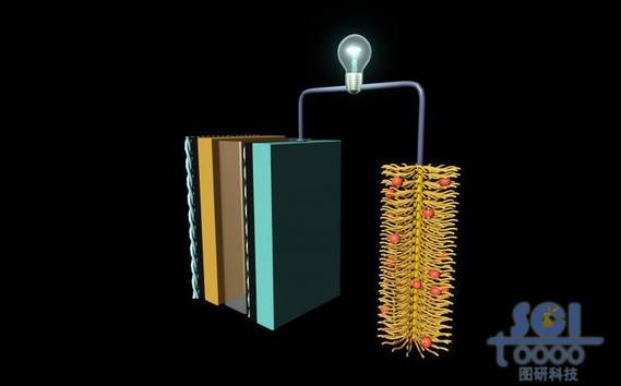 阳极为多层结构阴极为毛刷结构的电池