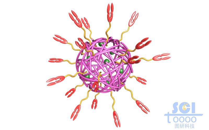 外带靶头的高分子链段聚合形成的中空的纳米药物球