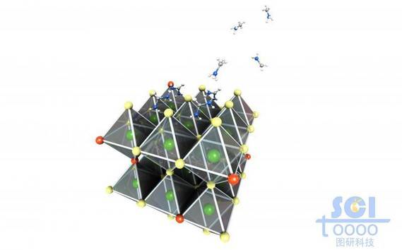 表面带有分子的八面体晶体结构阵列