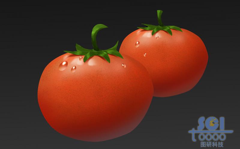 西红柿/番茄