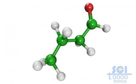 分子模式圖