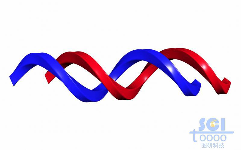 DNA双螺旋基础单元
