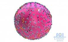 表面附著有機小分子的納米顆粒介孔球
