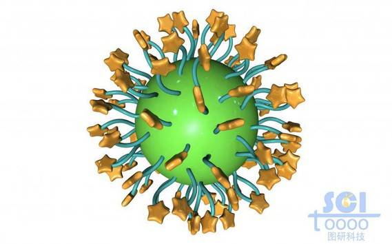 表面带星星状靶头的纳米球
