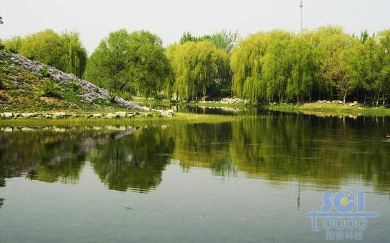 水素材