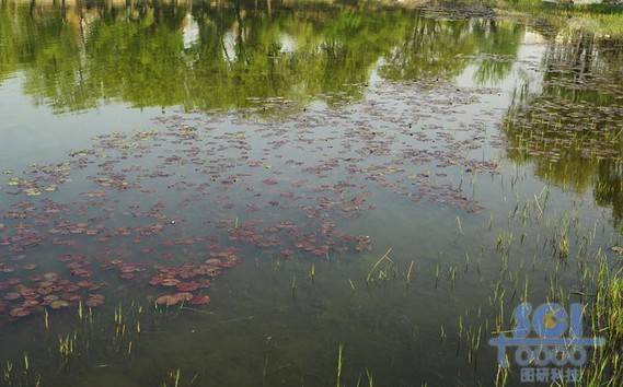 水素材