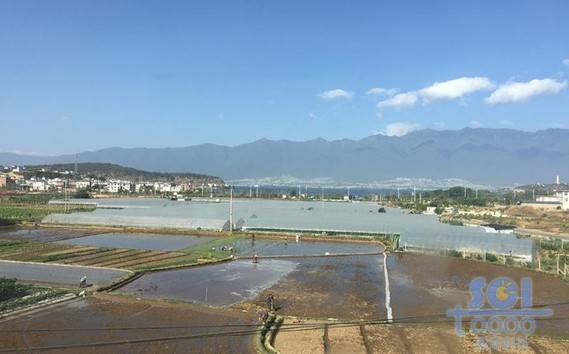 藍(lán)天素材